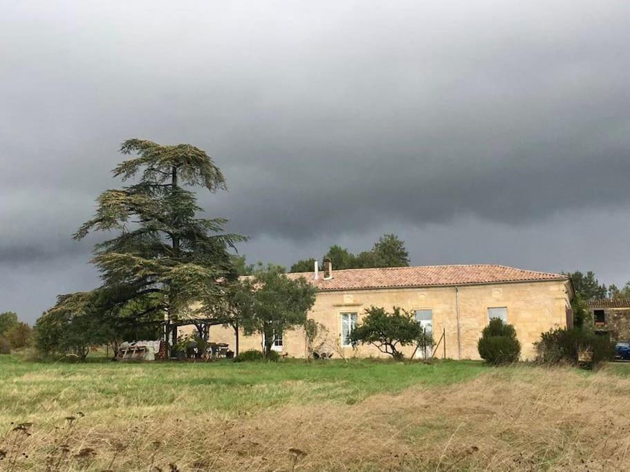 Beau Gite Dans Domaine Viticole & Arboricole Cursan Exterior foto