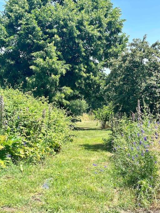 Beau Gite Dans Domaine Viticole & Arboricole Cursan Exterior foto